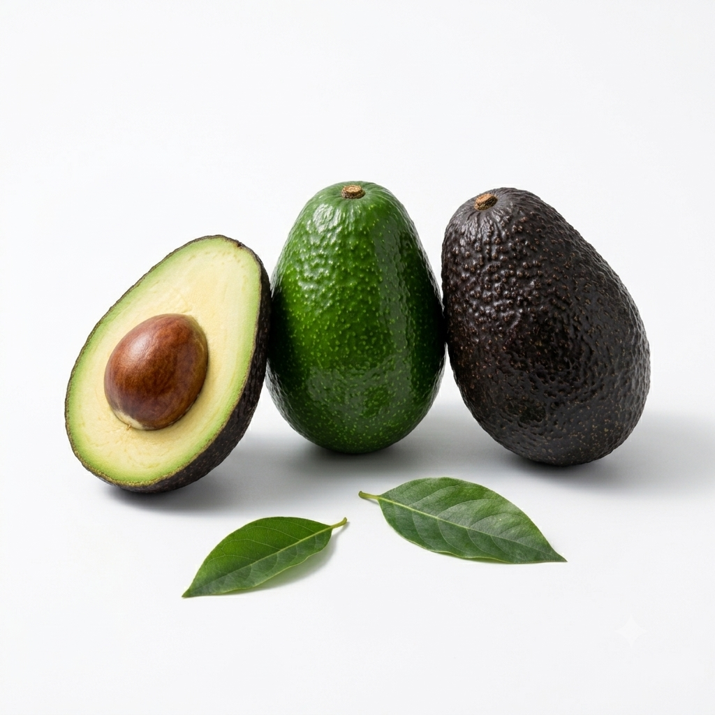Avocado 