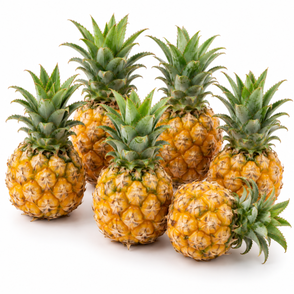 Baby Pineapple