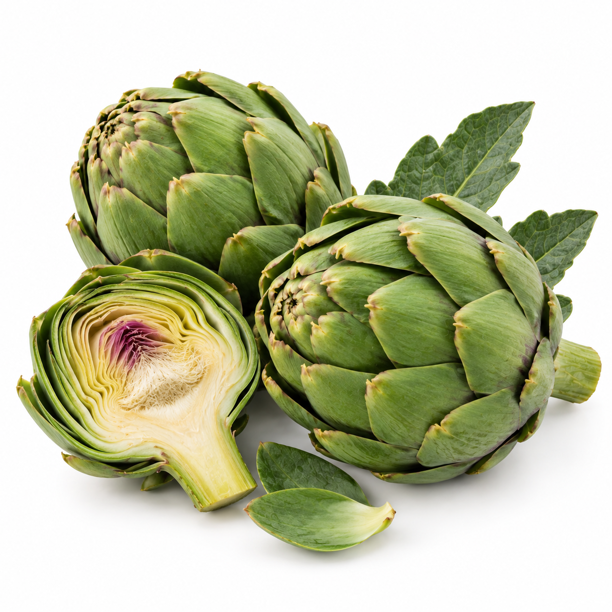 Artichoke 
